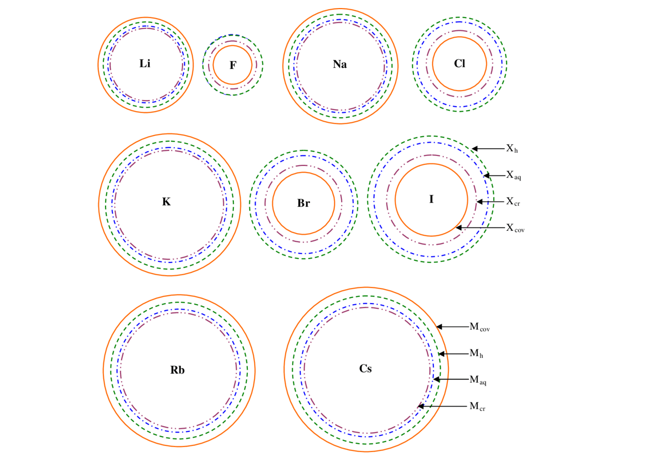 دانستنیهایی درباره یون هالید